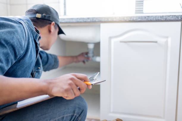 Best Plumbing Services Near Me  in Sconsin Dells, WI