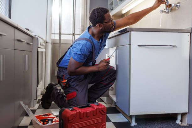 Best Local Plumber Services  in Sconsin Dells, WI